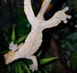 20160427_034217.jpg