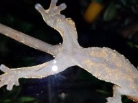20160427_021953.jpg