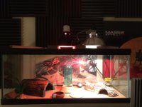 IMG_1798.jpg IMG_1798.jpg