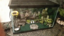 NewTank.jpg