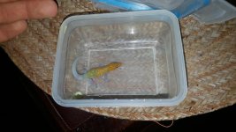 20160522_070117.jpg