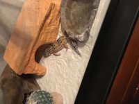 IMG_5193.jpg IMG_5193.jpg