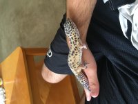 IMG_5113.jpg IMG_5113.jpg