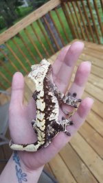 20160901_125628.jpg
