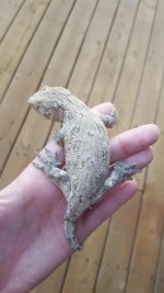 20160809_202734.jpg