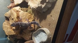 20160910_101643.jpg