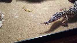 20160924_182954.jpg