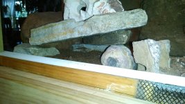IMG_20160925_111139.jpg