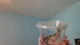 IMG_20161005_141859.jpg