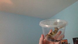 IMG_20161005_141904.jpg