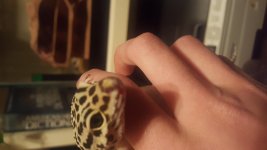 20161008_215415.jpg