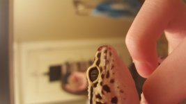 20161009_194544.jpg