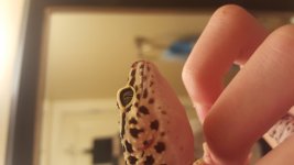 20161009_194534.jpg