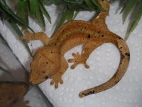 DSCN5625.jpg