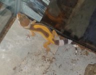 20161009_005705.jpg