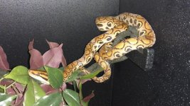 IMG_20161031_204924495.jpg