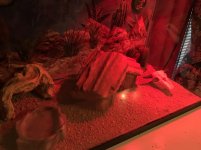 IMG_0452.jpg