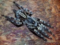 Poecilotheria striata.jpg Poecilotheria striata.jpg