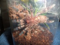 DSC00650.jpg DSC00650.jpg