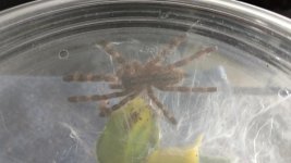 IMG_20170122_112617030_TOP.jpg IMG_20170122_112617030_TOP.jpg