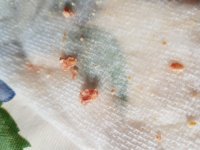 20170217_140814.jpg