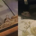 IMG_20170211_210835.jpg