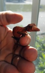 20170319_170811.jpg