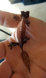 20170319_171025.jpg