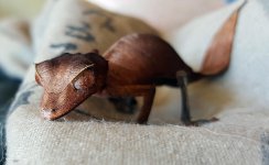 20170319_171151.jpg