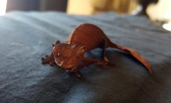 20170319_171412.jpg