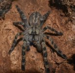 IMG_20170314_214137.jpg IMG_20170314_214137.jpg