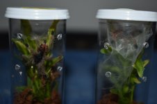 DSC_0140.jpg DSC_0140.jpg