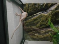 20170422_200027.jpg