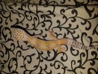 20170426_134041.jpg