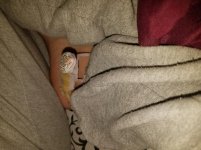 20170426_133740.jpg