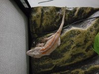 20170423_094405.jpg