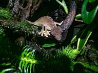 IMG_0090.jpg