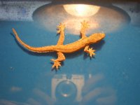 IMG_1108.jpg