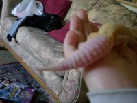 DSCN1060.jpg