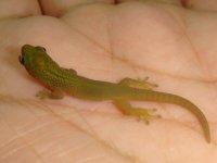 B opfeb28 hdapr08.jpg