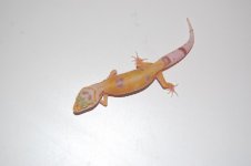 DSC_0002.jpg