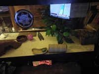 Tank First Night.jpg