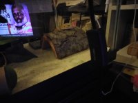 Sahyu watching TV.jpg