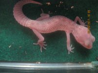 IMG_3650.jpg IMG_3650.jpg