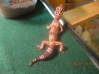 IMG_3652.jpg IMG_3652.jpg