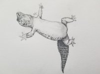 20170608_145328.jpg