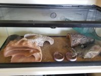 20170610_090647.jpg