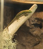 DSC_1293.jpg