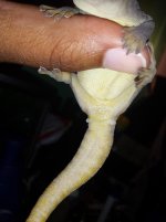 IMG_20170605_001434.jpg