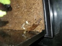 20170624_161154.jpg
